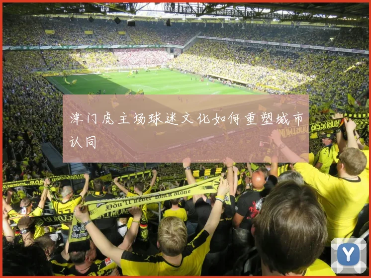 津门虎主场球迷文化如何重塑城市认同