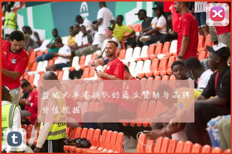 盐城大丰港战队的商业赞助与品牌价值挖掘