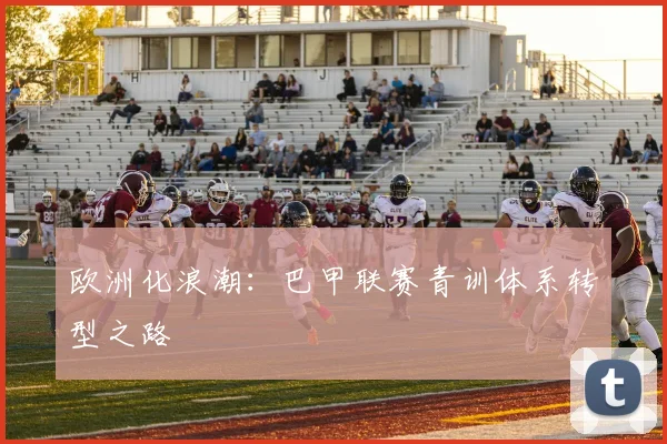 欧洲化浪潮：巴甲联赛青训体系转型之路