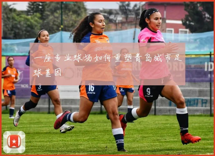 一座专业球场如何重塑青岛城市足球基因