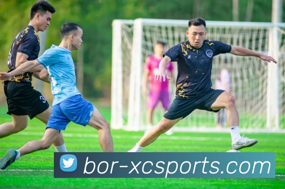 杏彩APP 体育赛事宣传图